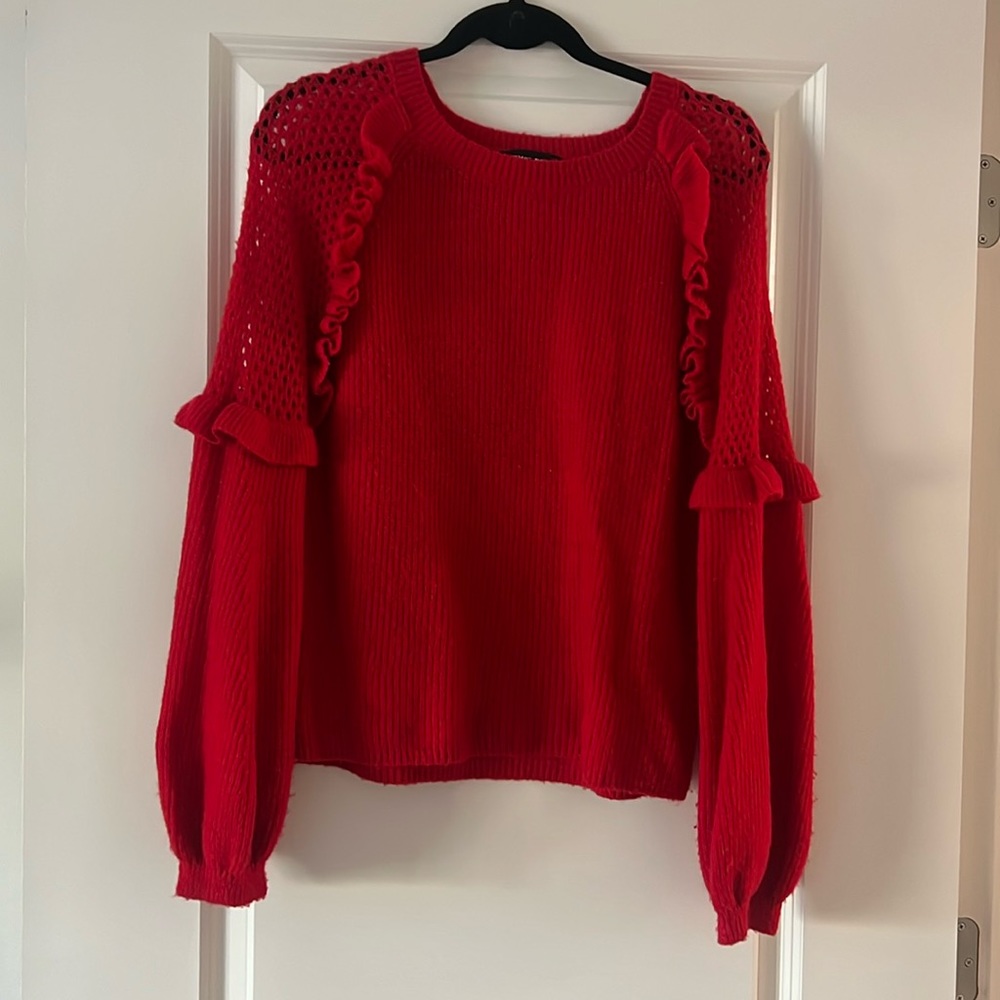 Express red sweater
